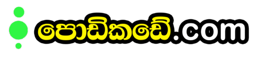 Sri Lankan Online Store